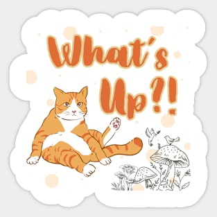 Cat Whats Up Sticker